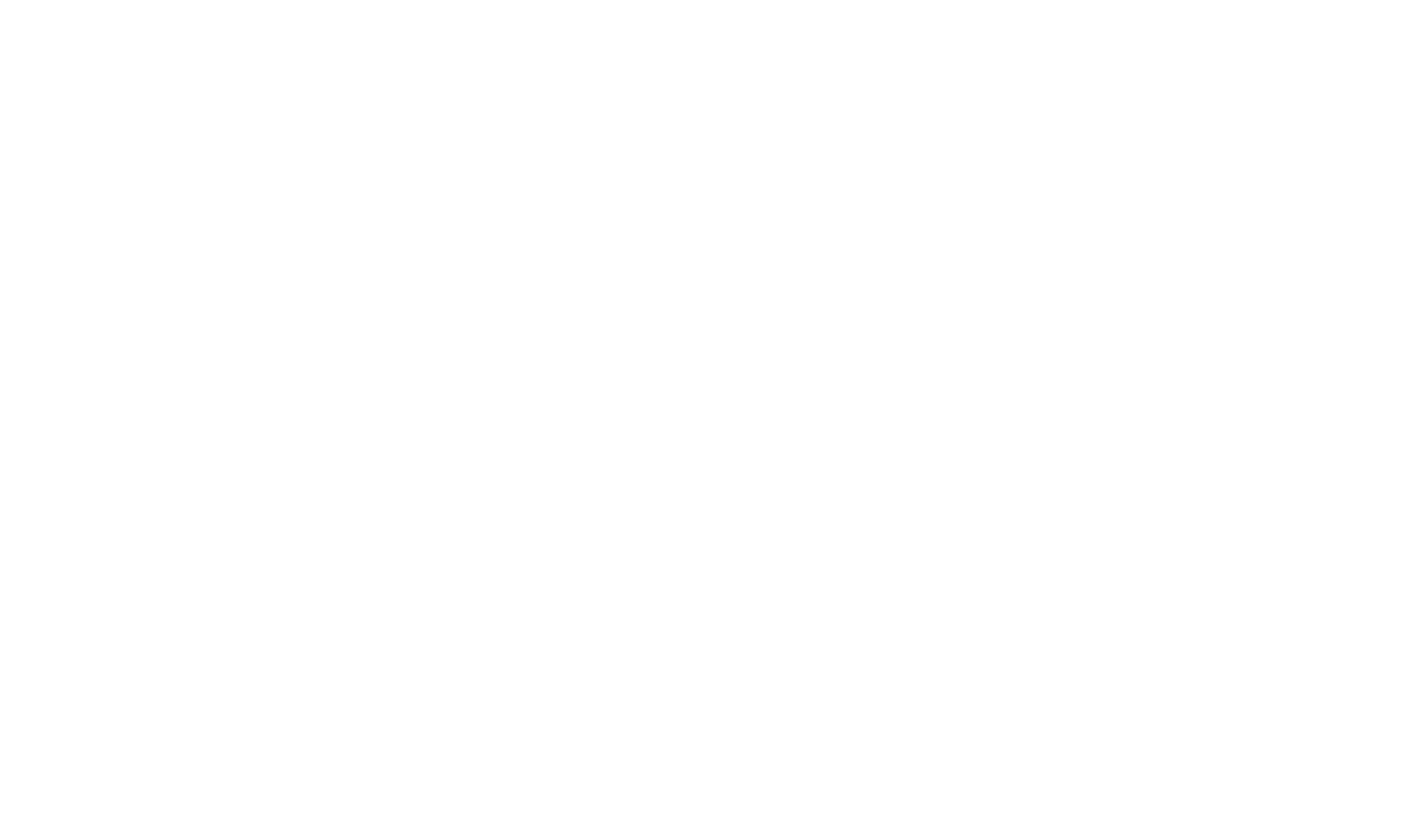 Logo StarLigue LNH
