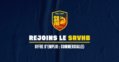 Offre d'emploi : Commercial(e)