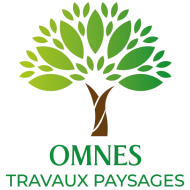 OMNES TP